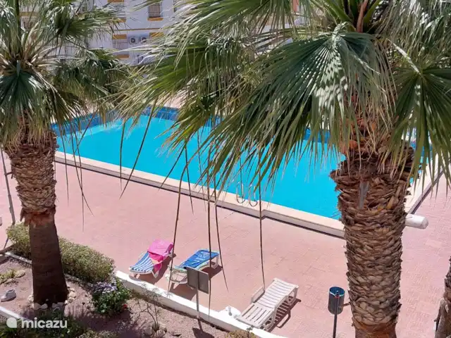 Location de Vacances Espagne, Costa Blanca, San Miguel de Salinas, appartement - Casa Deja Piscine commune