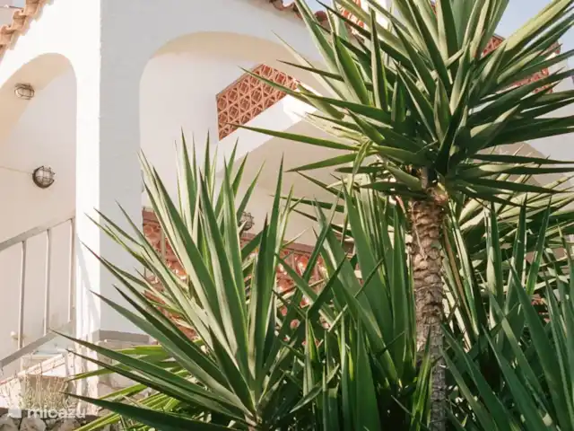 Villa Conchas | Espagne, Costa Dorada, L'Ampolla - maison de vacances Détail villa Conchas