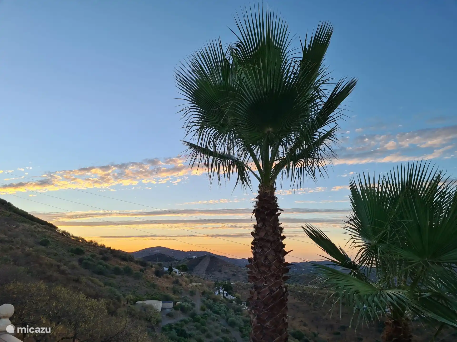 Blick auf den Garten 