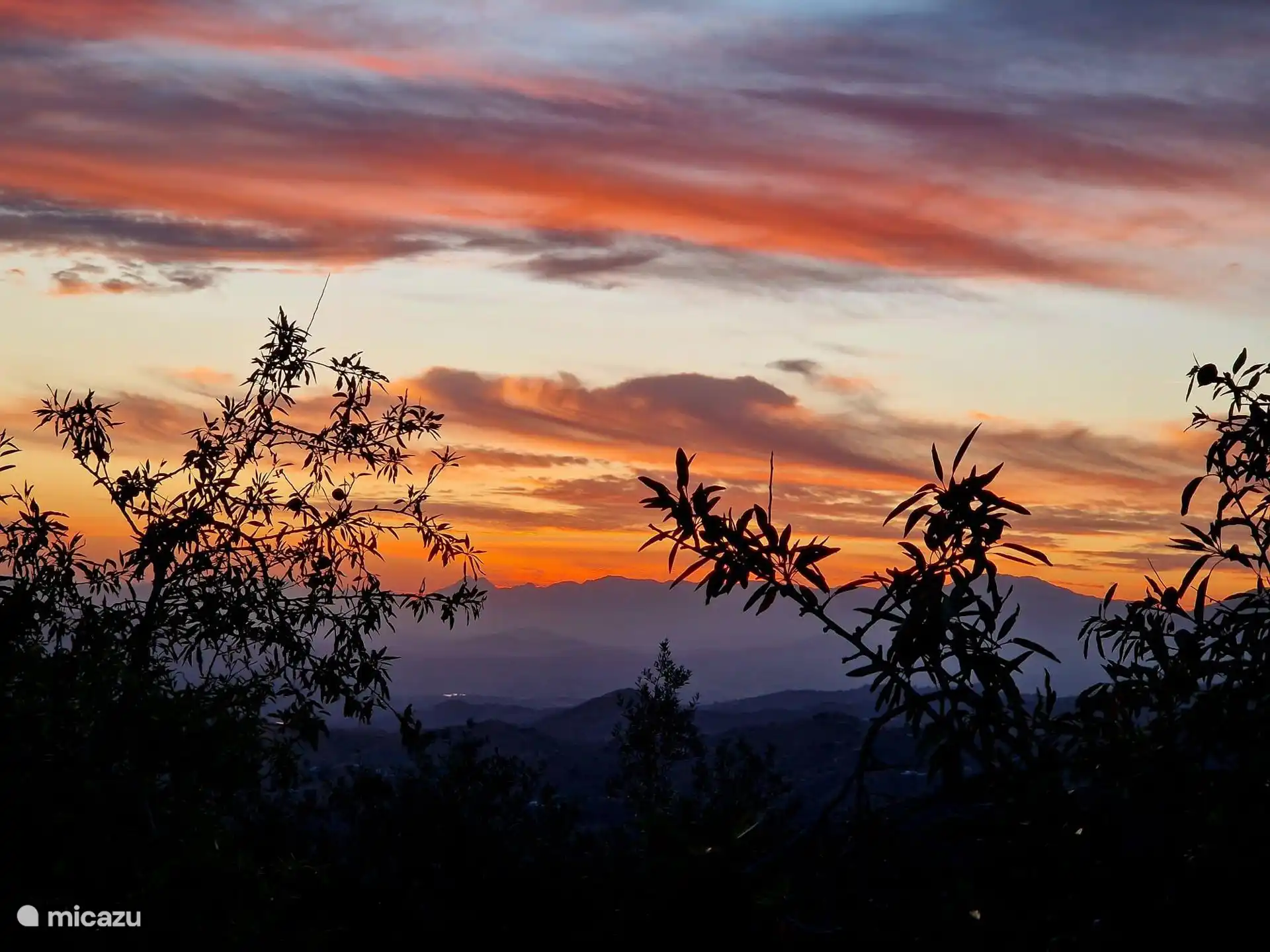Blick auf den Sonnenaufgang vom Garten aus
