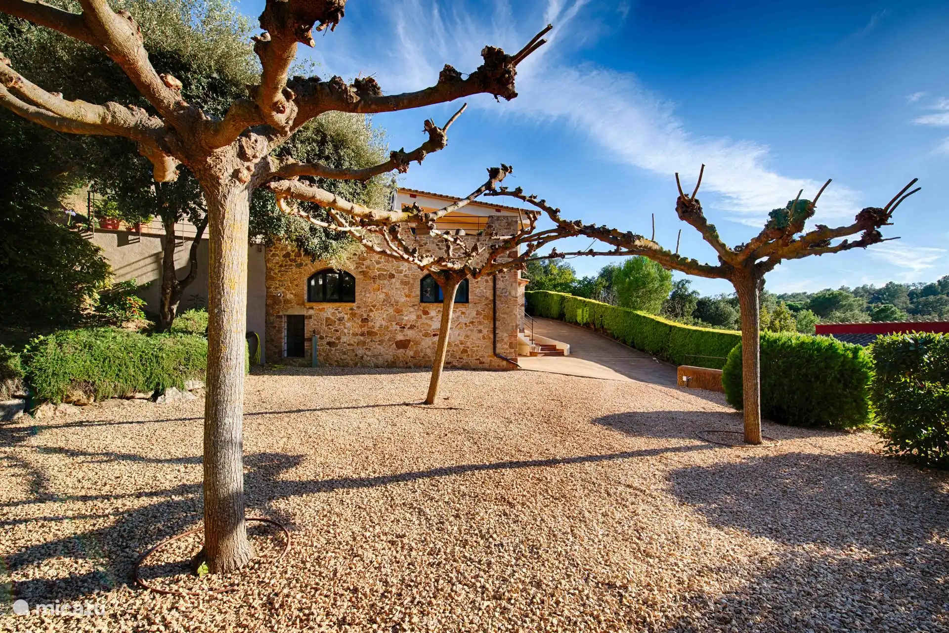 Gartenfront (jeu-de-boulle)