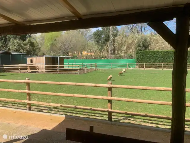 Rancho Catalán 2 en España, Costa Brava, Castell d'Aro - mobil home / caravana Vista desde la casa móvil en el establo de caballos