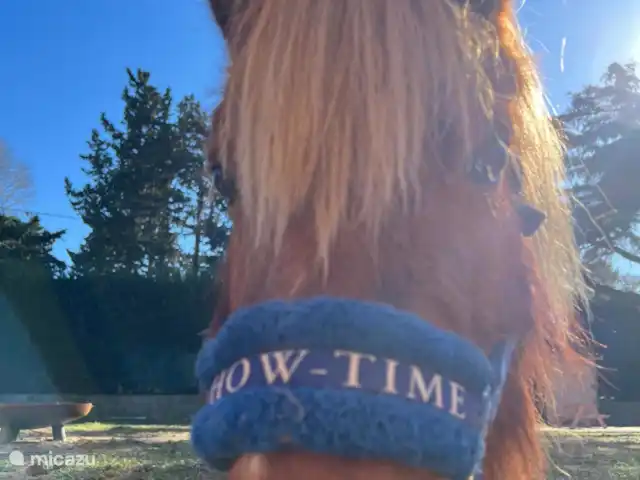 Rancho Catalán 2 en España, Costa Brava, Castell d'Aro - mobil home / caravana Nuestra corista Chanel