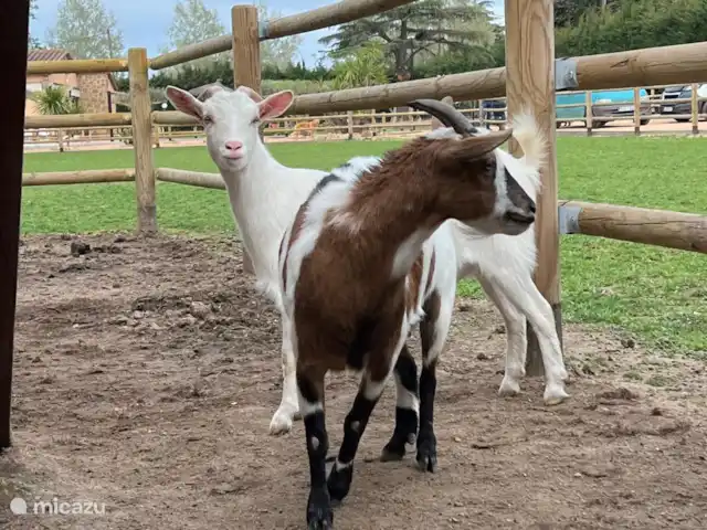 Rancho Catalán 2 en España, Costa Brava, Castell d'Aro - mobil home / caravana Peppi y Kokki