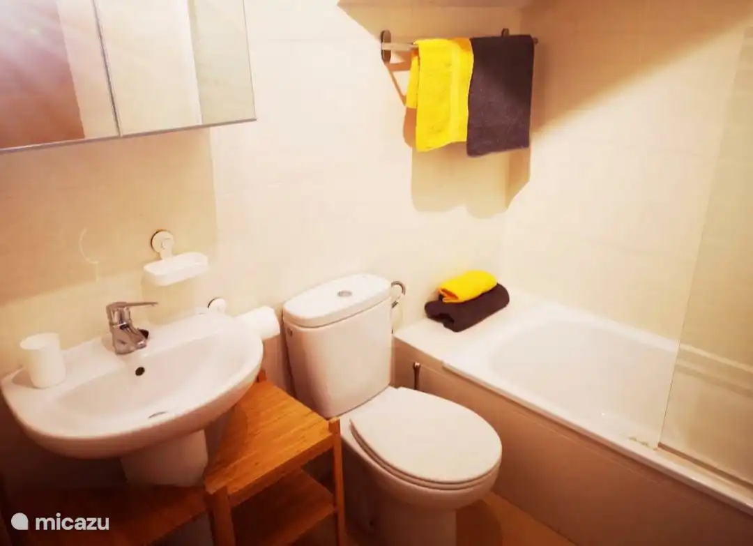 Badezimmer mit Bidet und Badewanne mit Duschkopf