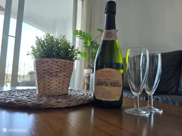 Casa Gusto | Espagne, Costa Cálida, Sucina - appartement Allons-nous préparer le cava pour vous ?