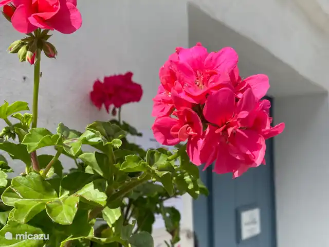 Victoria Seis - Appartement La Luz | Espagne, Andalousie, Medina Sidonia - appartement Maison d’entrée