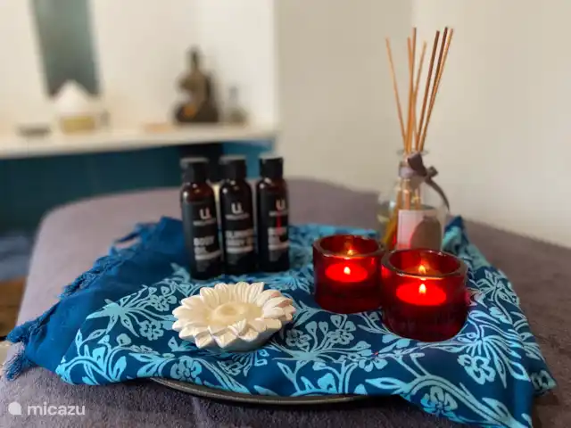 Victoria Seis - Appartement La Luz | Espagne, Andalousie, Medina Sidonia - appartement massage disponible