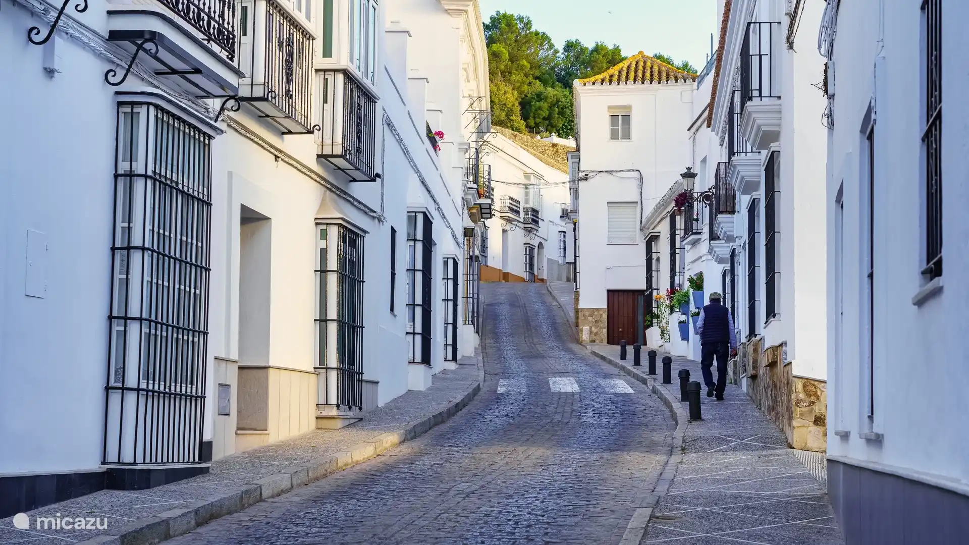 La charmante Calle Victoria dans le centre historique