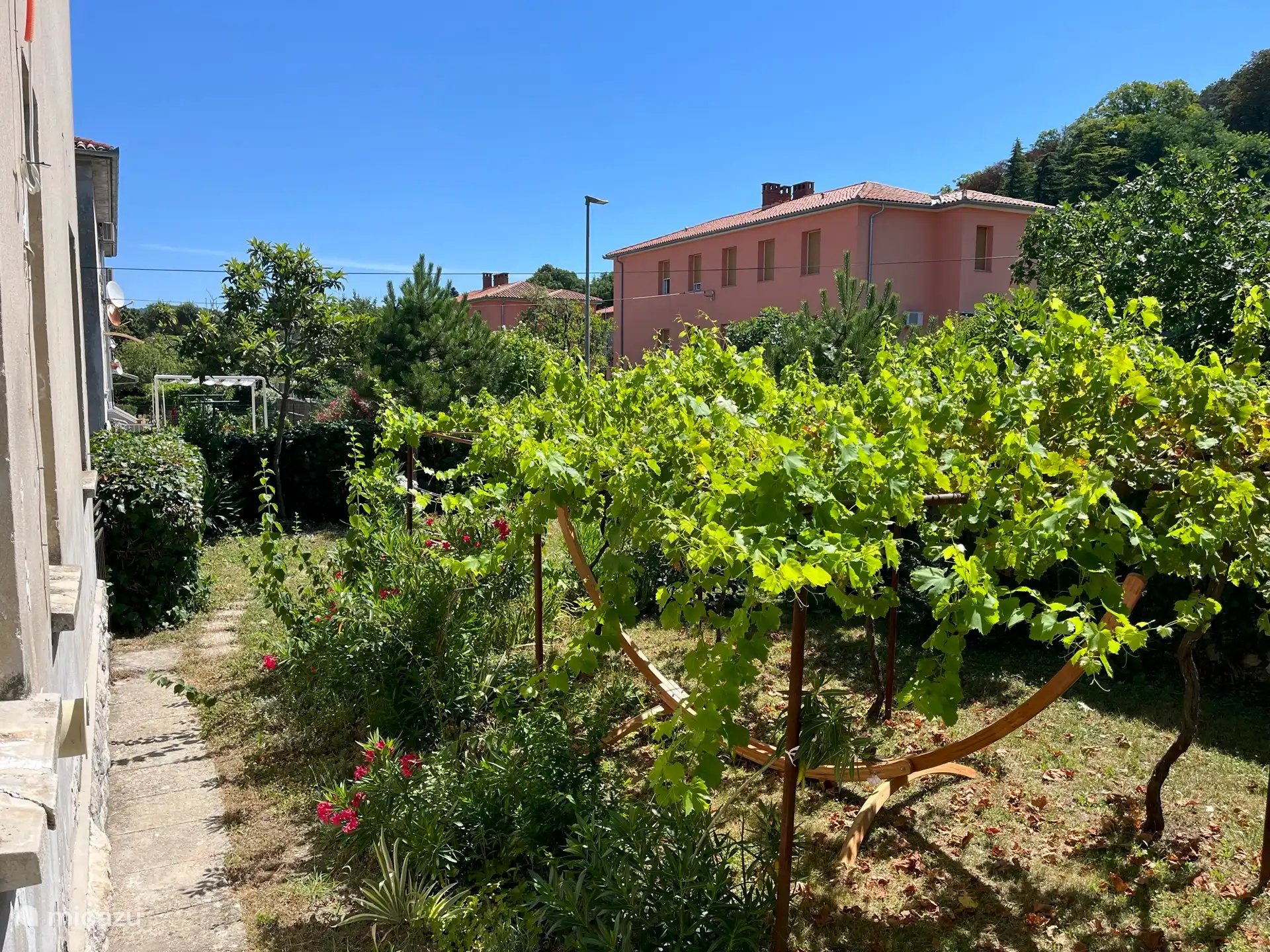 Jardin ensoleillé (env. 8 x 16 mètres) avec pergola de raisin 