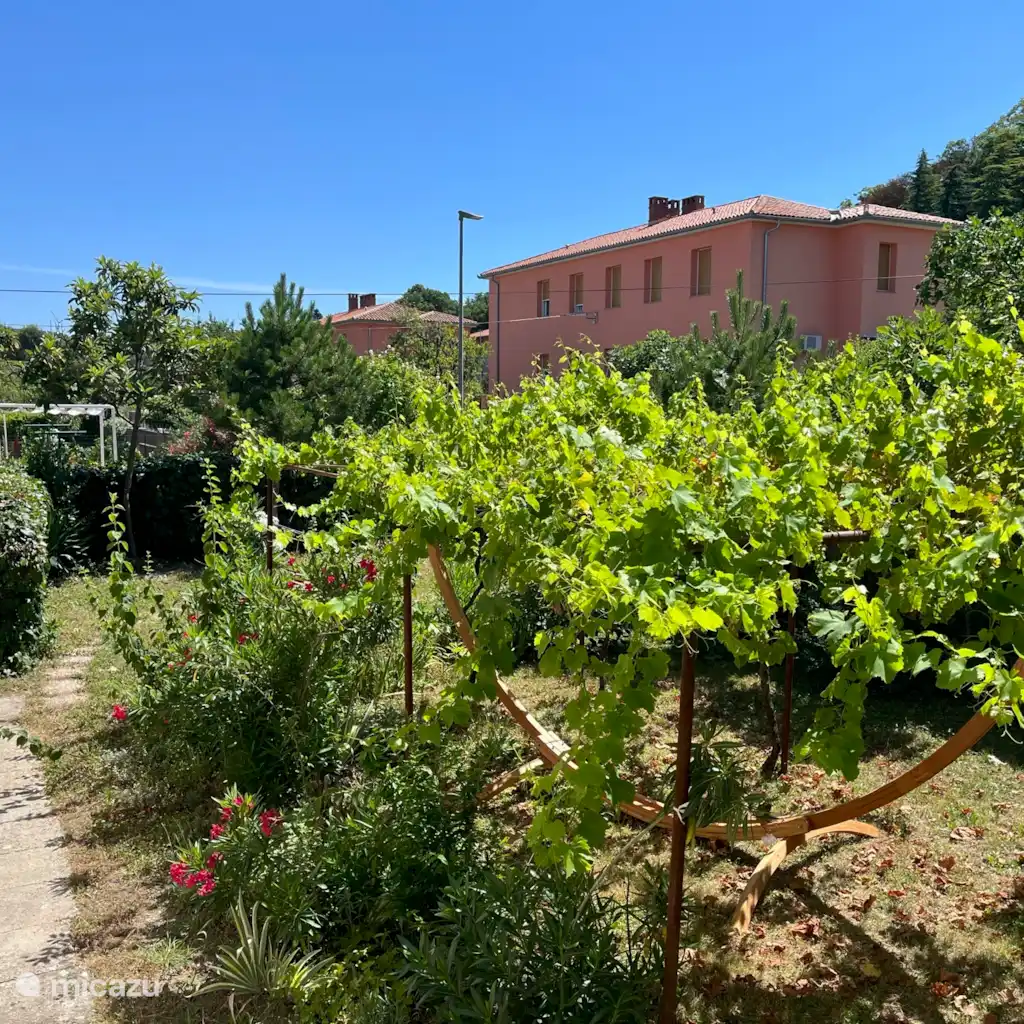 Appartement Vilete