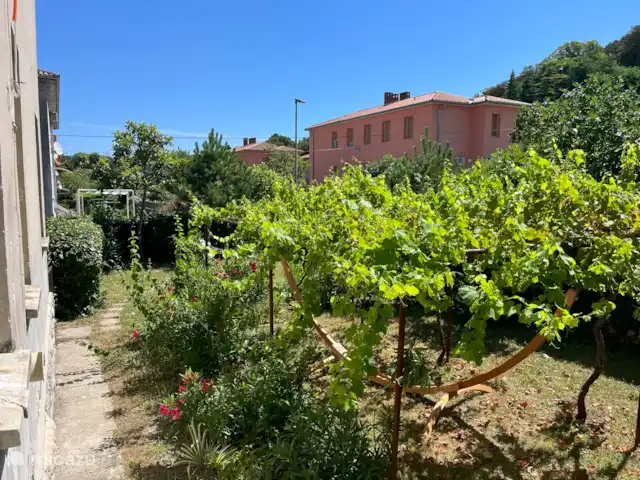 apartamento en Croacia, Istria, Labin – Apartamento Vilete Jardín soleado (aprox. 8 x 16 metros) con pérgola de uva