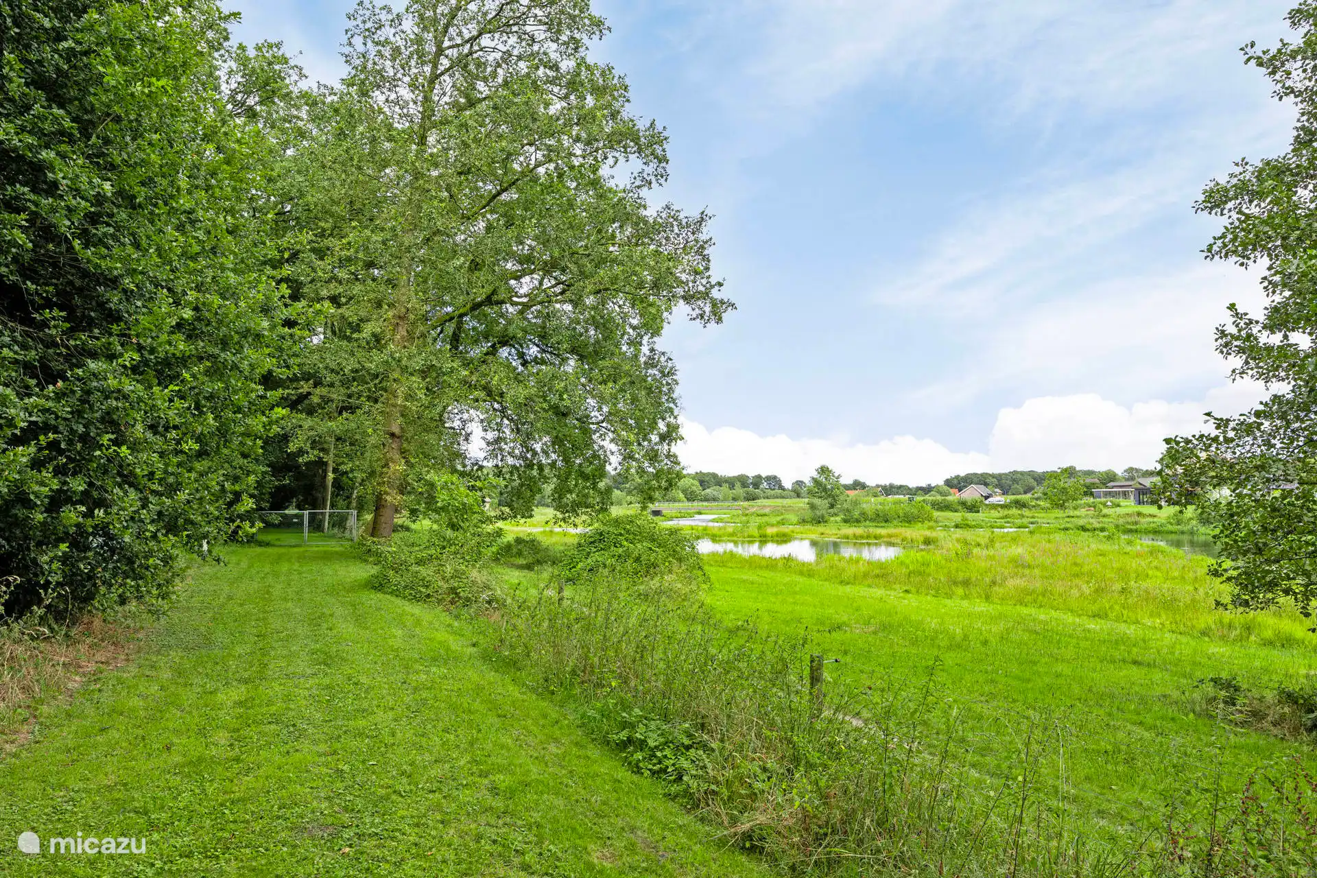 Uitzicht vanuit het bos over De Doorbraak