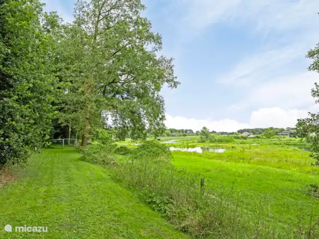 Maison de vacances à Twente ♥ | Pays-Bas, Overijssel, Bornerbroek - maison de vacances Vue de la forêt sur « De Doorbraak »