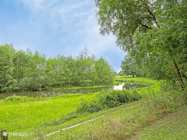 Maison de vacances à Twente ♥ | Pays-Bas, Overijssel, Bornerbroek - maison de vacances Vue de la forêt sur « De Doorbraak »