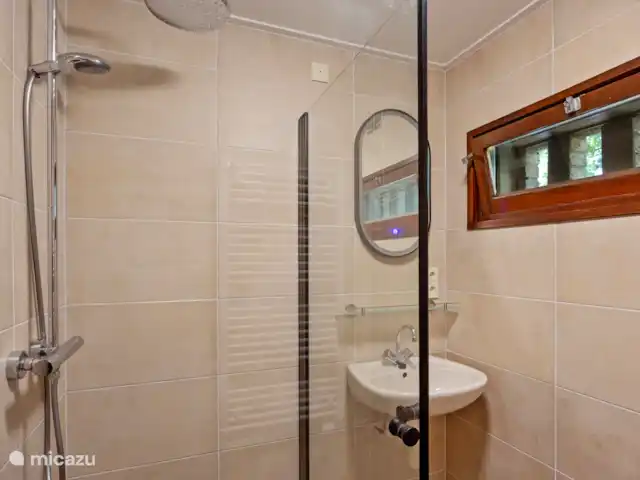 Maison de vacances à Twente ♥ | Pays-Bas, Overijssel, Bornerbroek - maison de vacances Salle de bain avec douche à effet pluie et lavabo