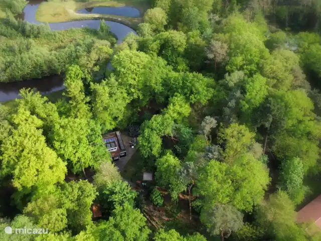 Maison de vacances à Twente ♥ | Pays-Bas, Overijssel, Bornerbroek - maison de vacances 0,7 Hectares de parcelle forestière privée
