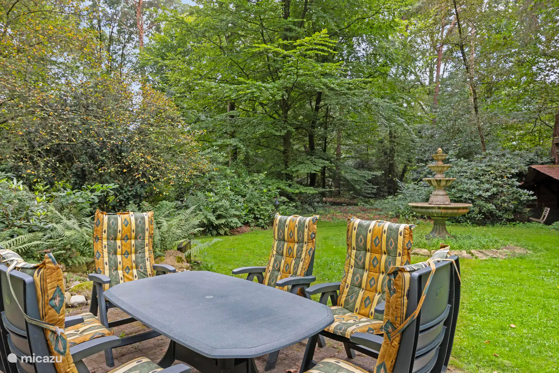 Terras in eigen bos.