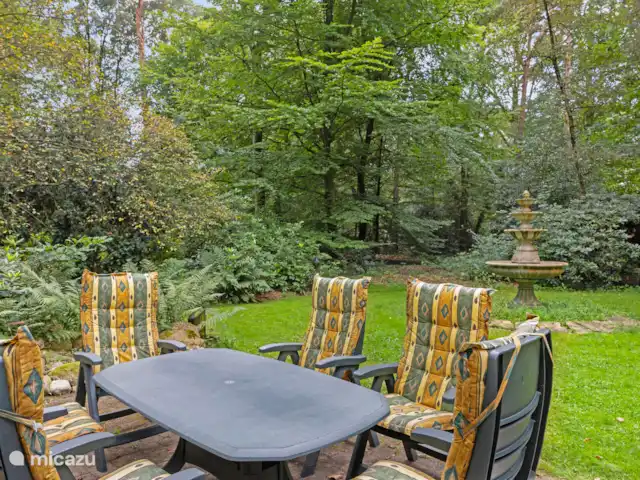 Maison de vacances à Twente ♥ | Pays-Bas, Overijssel, Bornerbroek - maison de vacances Terrasse dans sa propre forêt.