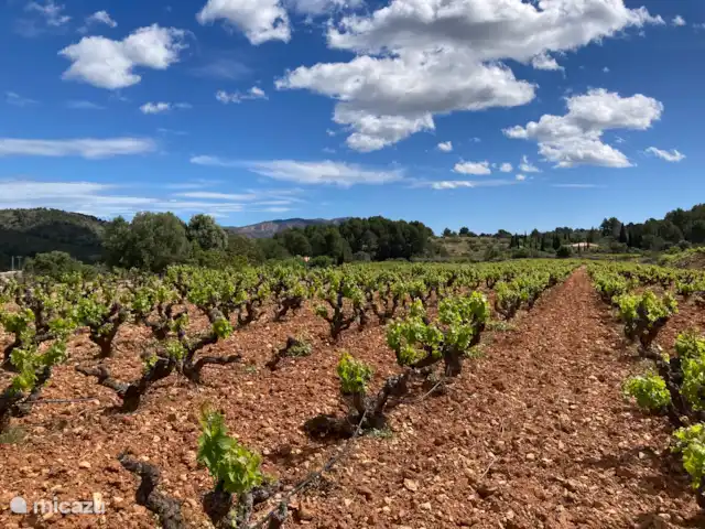 Boutique Casa El Ojo Dorado Grande  | Espagne, Costa Blanca, Lliber - finca