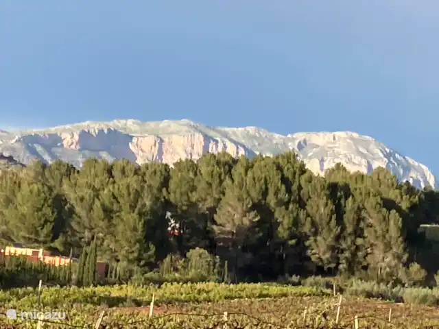 Boutique Casa El Ojo Dorado Grande  | Espagne, Costa Blanca, Lliber - finca