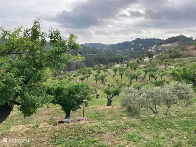 Boutique Casa El Ojo Dorado Grande  | Espagne, Costa Blanca, Lliber - finca