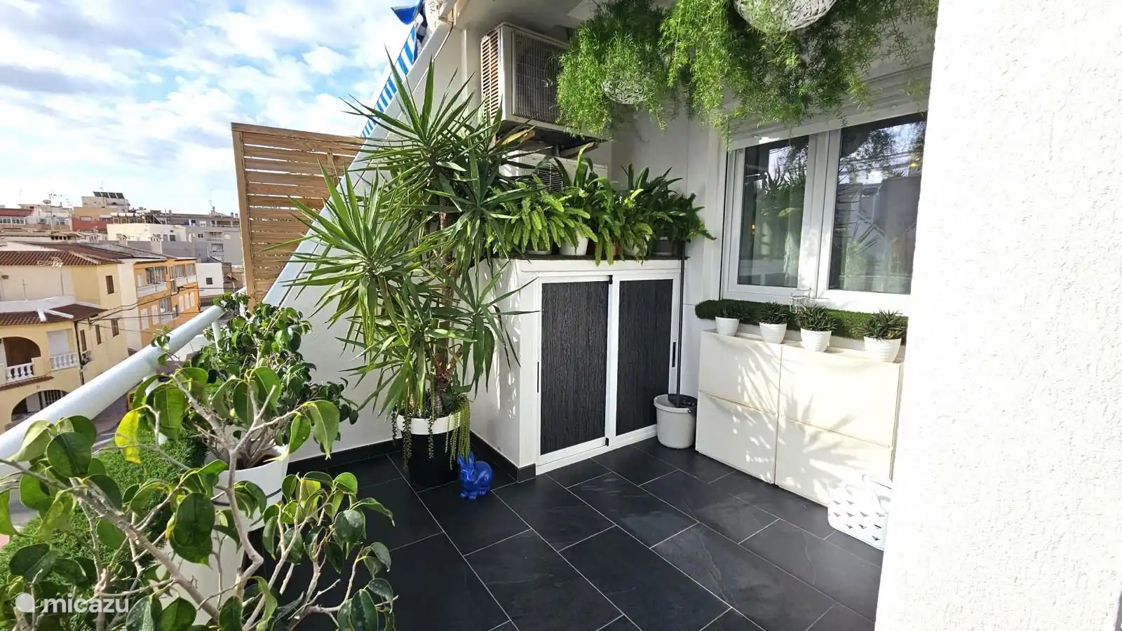 Terras