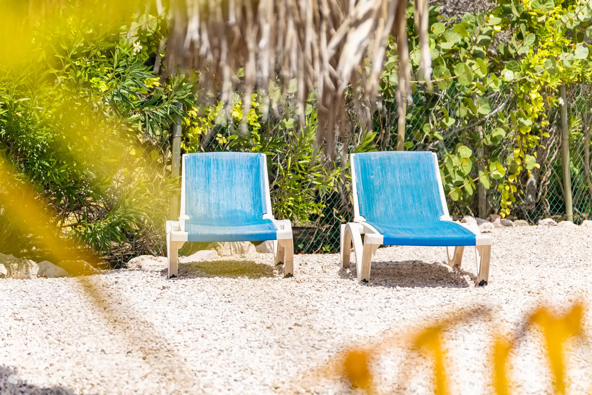 Prendre un bain de soleil!
