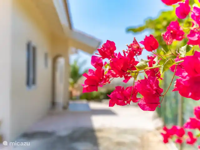 Villa Suribloem *Vista al mar y a la colina* en Curazao, Bandabou (oeste), Fontein - casa vacacional Suribloem @ Curazao