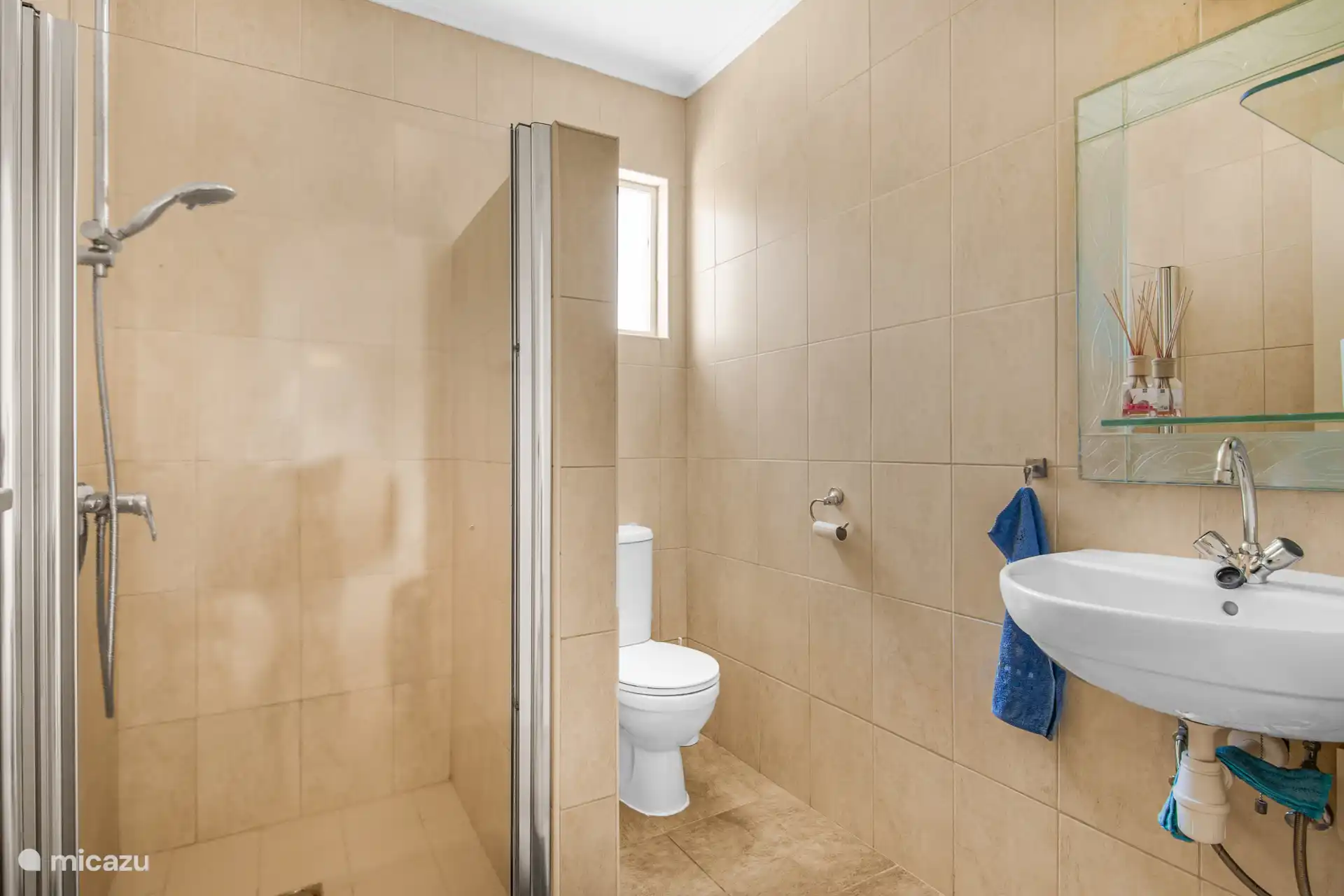 Salle de bain soignée avec douche à l’italienne