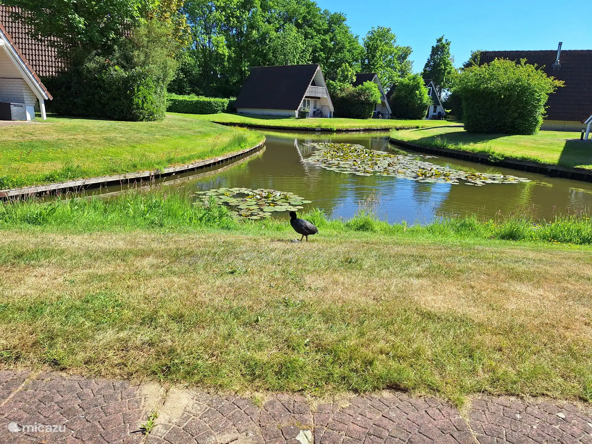Vue sur l’étang à poissons.