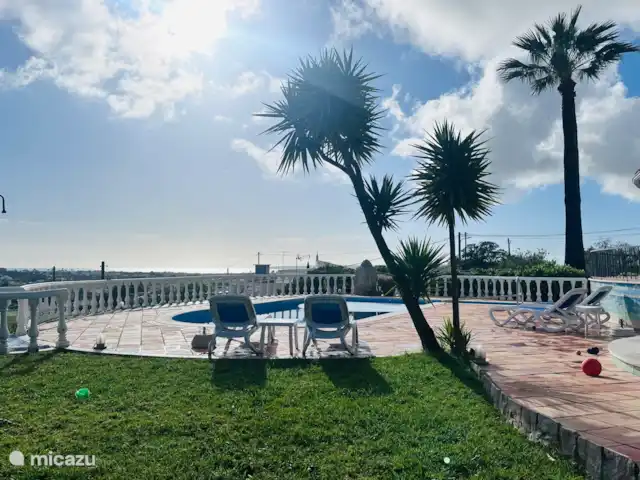 Location de Vacances Portugal, Algarve, Albufeira, villa - Brisa do Mar Qui ne rêve pas d’un palmier au bord de la piscine