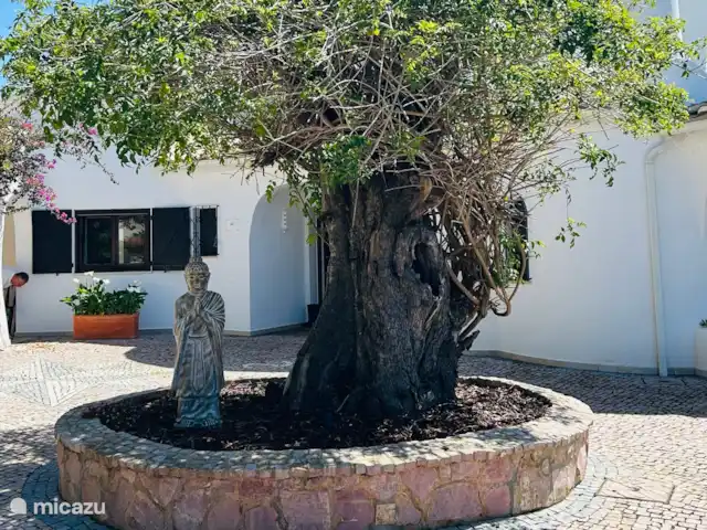 Location de Vacances Portugal, Algarve, Albufeira, villa - Brisa do Mar Entrez!