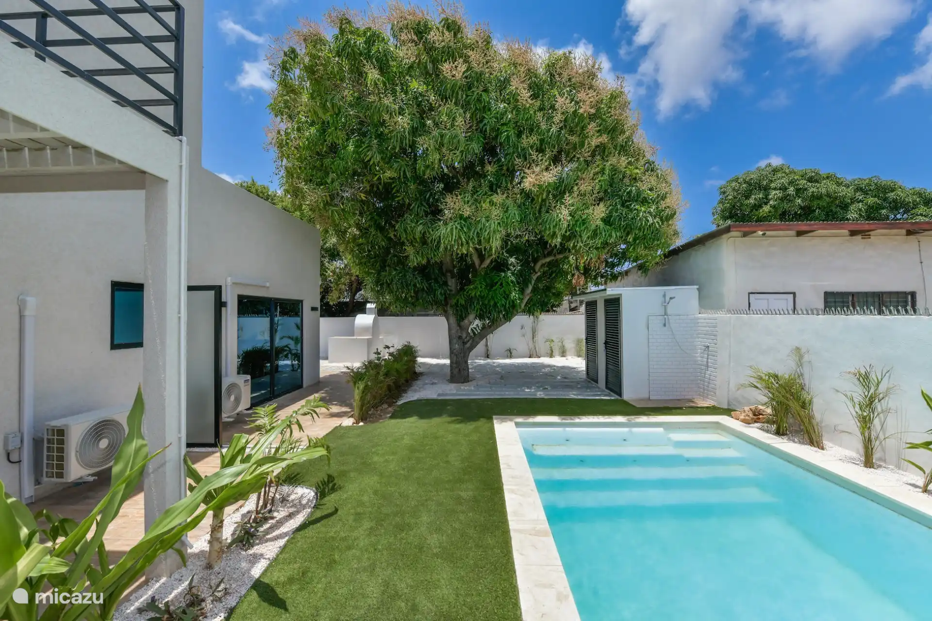 Community pool incl mango tree