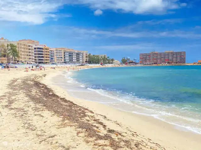 appartement huren in Spanje, Costa Blanca, Torrevieja – La Playa Torrevieja