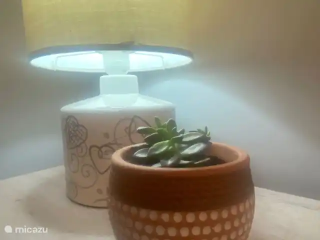 appartement huren in Spanje, Costa Blanca, Torrevieja – La Playa Torrevieja