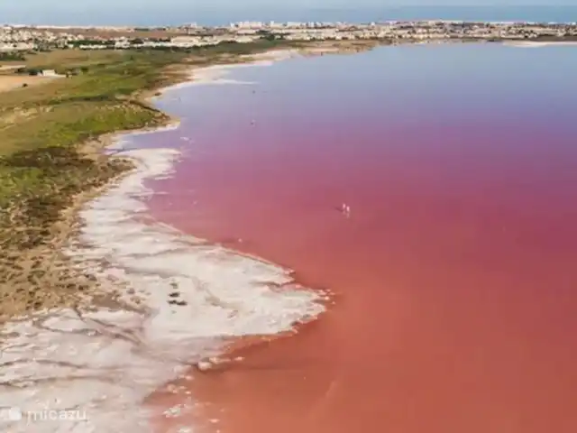 appartement huren in Spanje, Costa Blanca, Torrevieja – La Playa Torrevieja