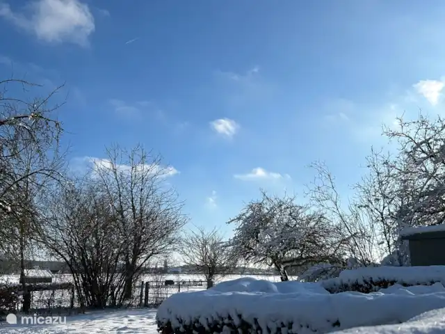 Appartement de vacances Le Plateau Cottesser | Pays-Bas, Limbourg, Heijenrath - maison mitoyenne Pays des merveilles hivernales1