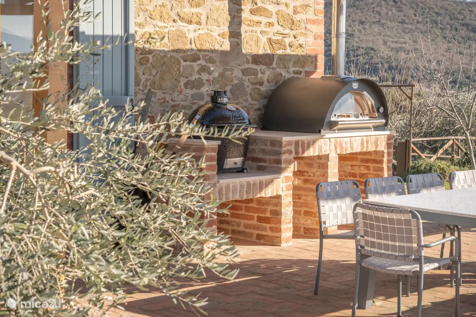 BBQ avec four à pizza