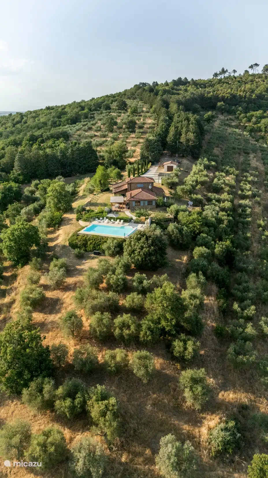 Vue d’ensemble du terrain