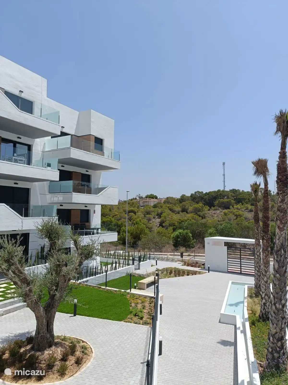 Impressionen eines Gartens im Innenhof