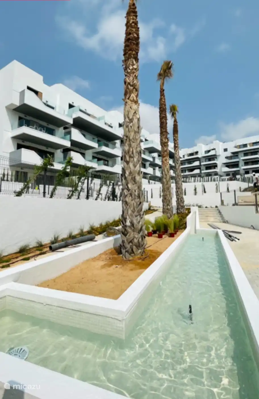 Schöner Brunnen mit Palmen und Bänken