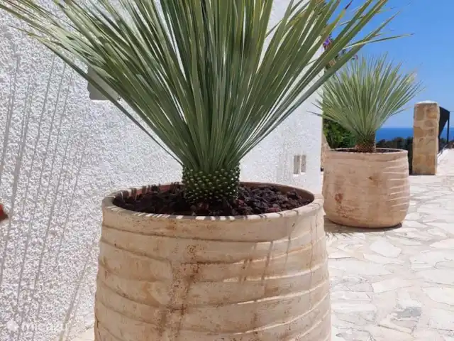 Casa Beniluz Moraira | Espagne, Costa Blanca, Moraira-Teulada - villa
