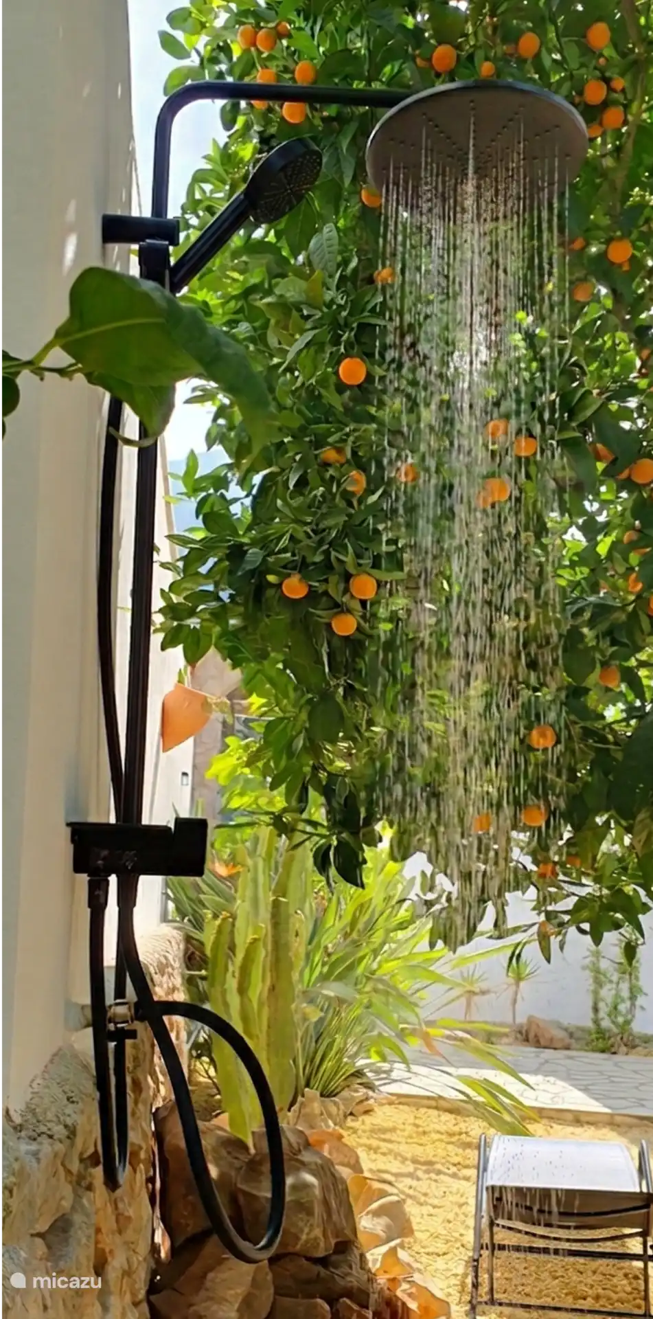 Outdoor shower under the orange tree