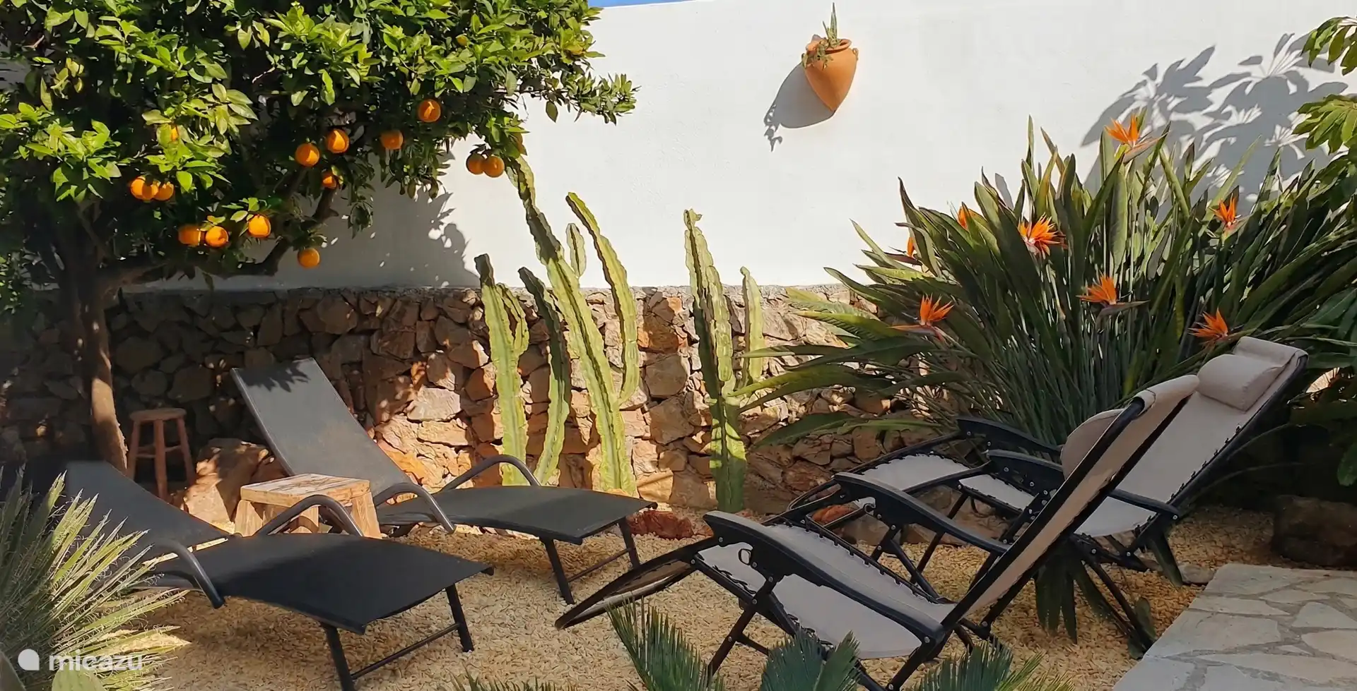Terrace with sun loungers and beds