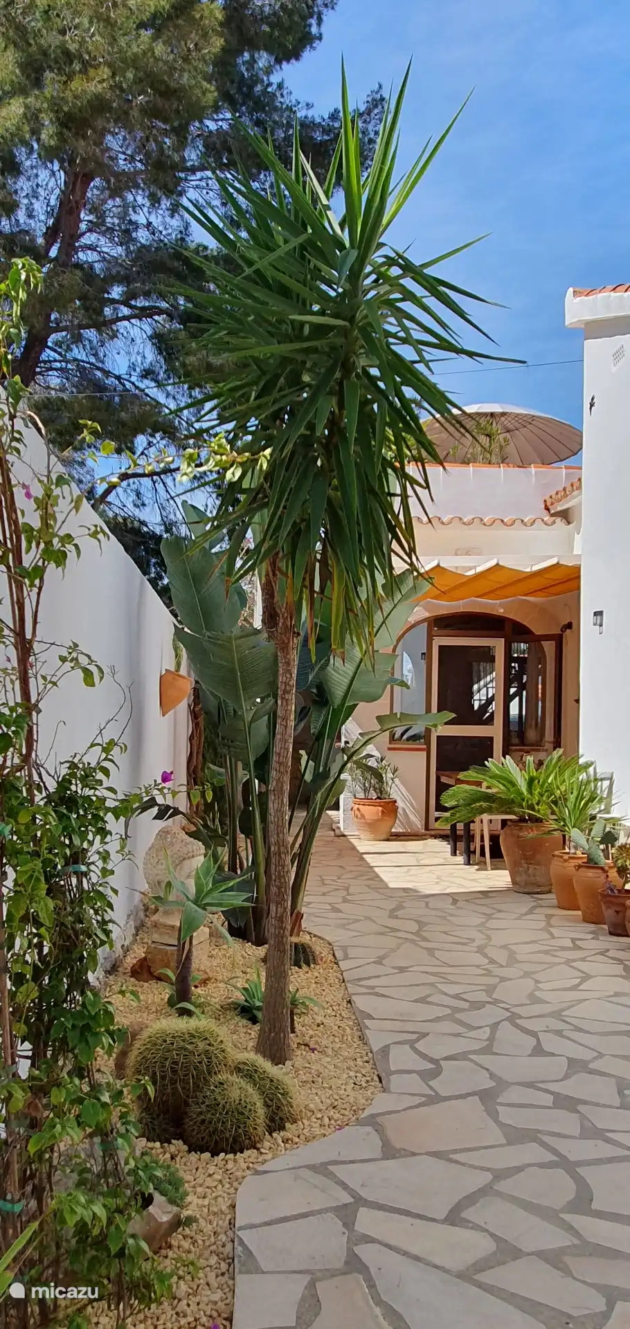 Entrance and terrace