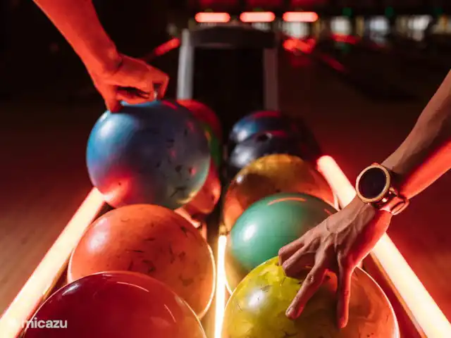 Le joyau de la forêt | Pays-Bas, Gueldre, Voorthuizen - chalet