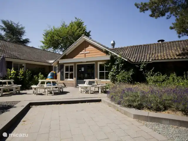 Le joyau de la forêt | Pays-Bas, Gueldre, Voorthuizen - chalet