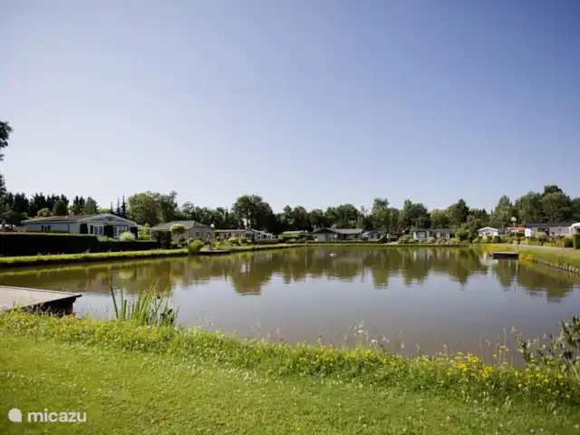 Le joyau de la forêt | Pays-Bas, Gueldre, Voorthuizen - chalet