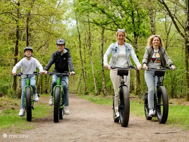 Le joyau de la forêt | Pays-Bas, Gueldre, Voorthuizen - chalet